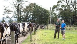 Reducing herd milk production